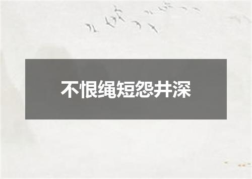 不恨绳短怨井深