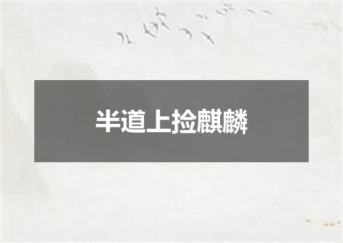 半道上捡麒麟