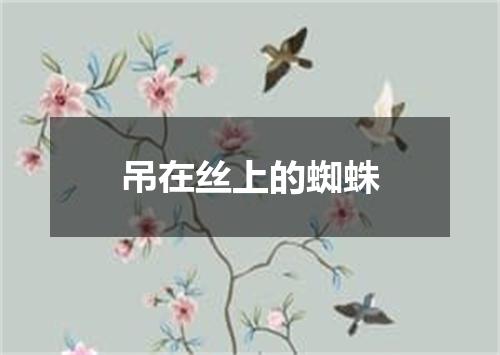 吊在丝上的蜘蛛