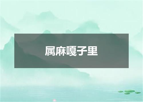 属麻嘎子里