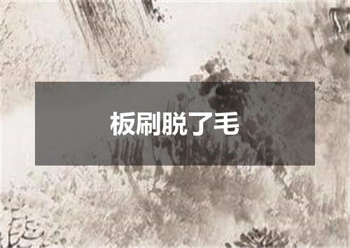 板刷脱了毛