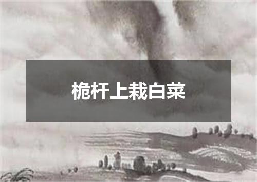 桅杆上栽白菜