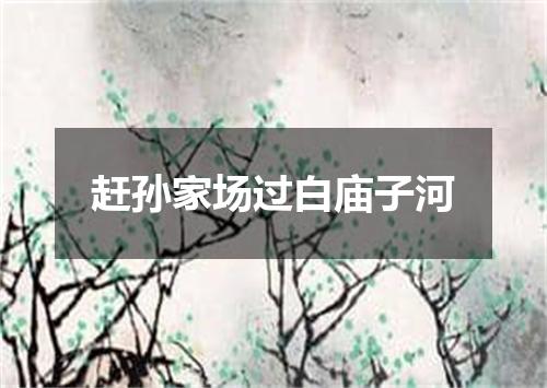 赶孙家场过白庙子河