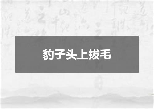 豹子头上拔毛