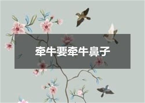 牵牛要牵牛鼻子