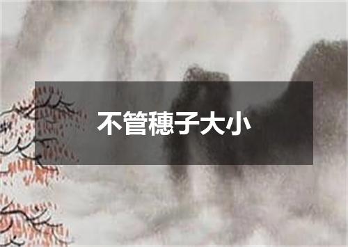 不管穗子大小