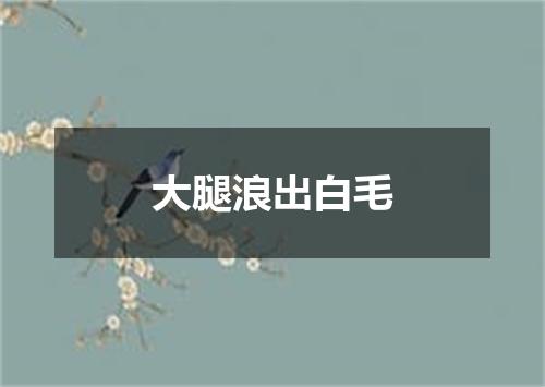 大腿浪出白毛