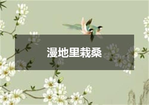 漫地里栽桑