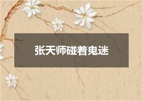 张天师碰着鬼迷
