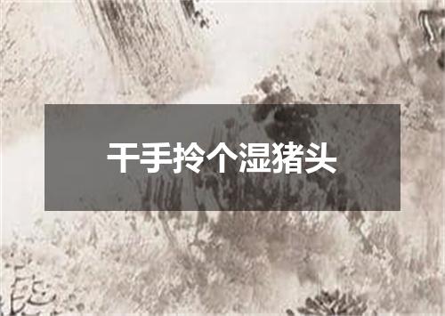 干手拎个湿猪头