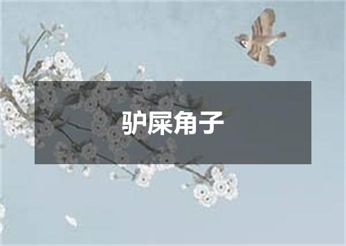 驴屎角子
