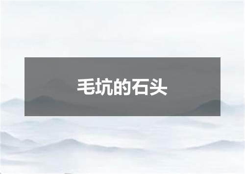 毛坑的石头