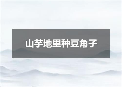 山芋地里种豆角子