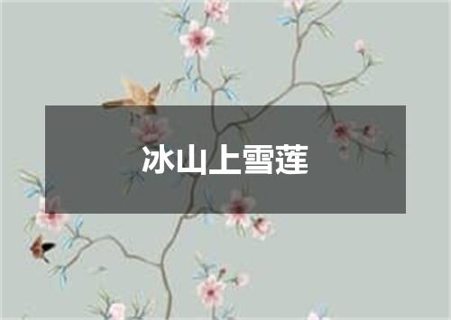 冰山上雪莲
