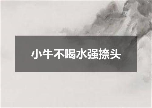 小牛不喝水强捺头
