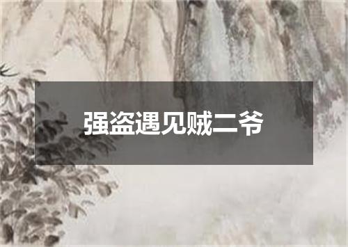 强盗遇见贼二爷