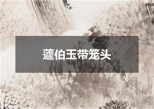 蘧伯玉带笼头