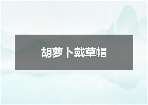 胡萝卜戴草帽