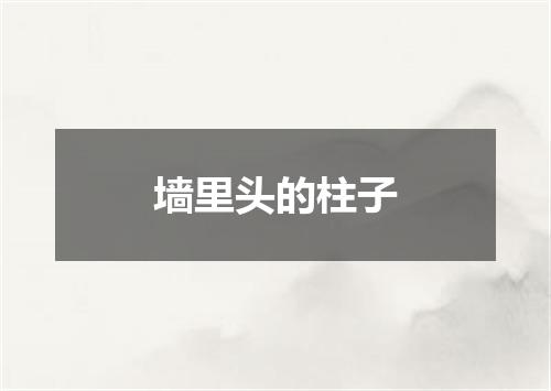 墙里头的柱子