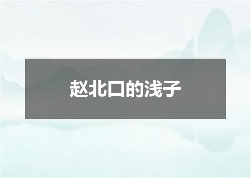 赵北口的浅子