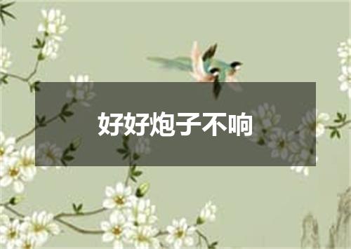 好好炮子不响