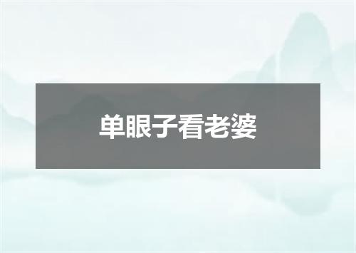 单眼子看老婆