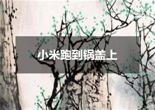 小米跑到锅盖上