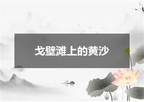 戈壁滩上的黄沙