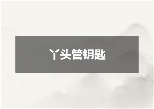 丫头管钥匙