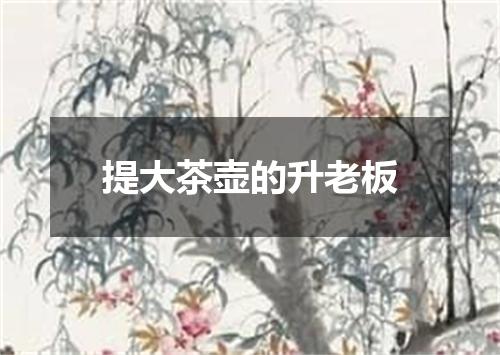 提大茶壶的升老板