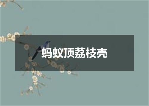 蚂蚁顶荔枝壳
