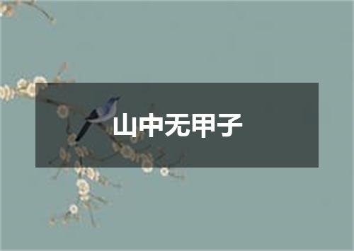 山中无甲子