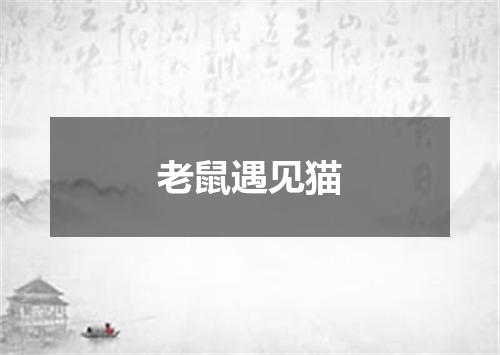 老鼠遇见猫