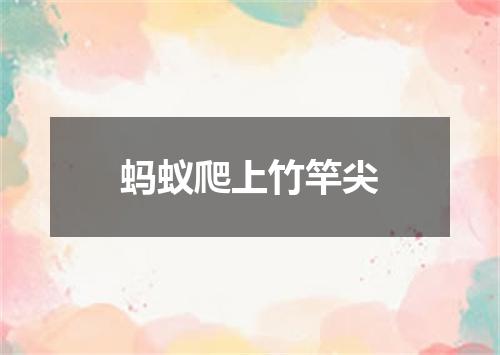 蚂蚁爬上竹竿尖