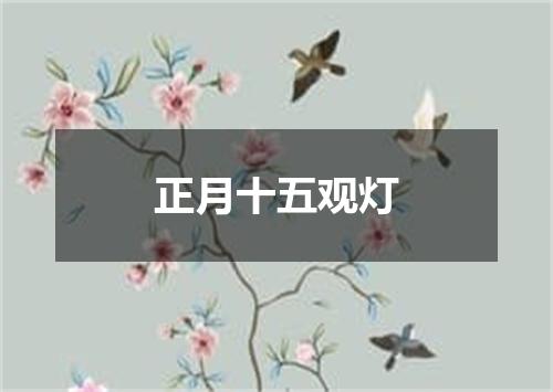 正月十五观灯