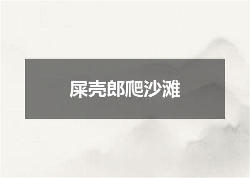 屎壳郎爬沙滩