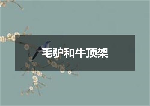 毛驴和牛顶架