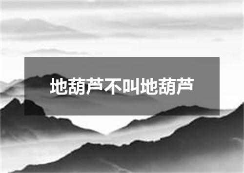 地葫芦不叫地葫芦