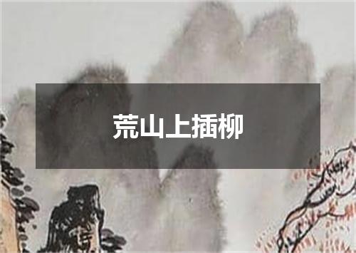 荒山上插柳