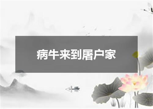 病牛来到屠户家