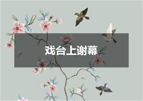 戏台上谢幕