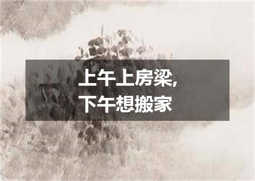 上午上房梁,下午想搬家