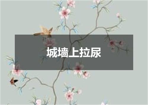 城墙上拉尿