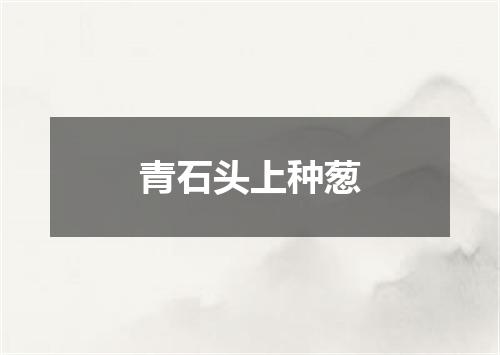 青石头上种葱