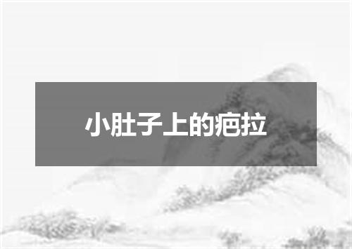 小肚子上的疤拉