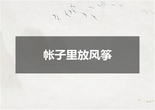 帐子里放风筝