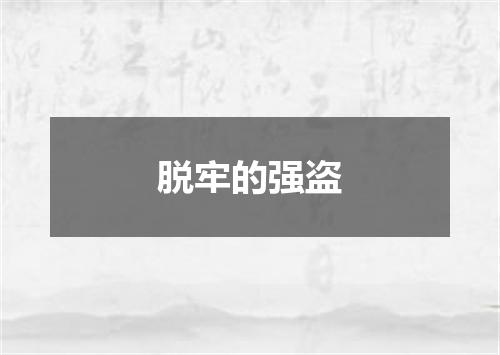 脱牢的强盗