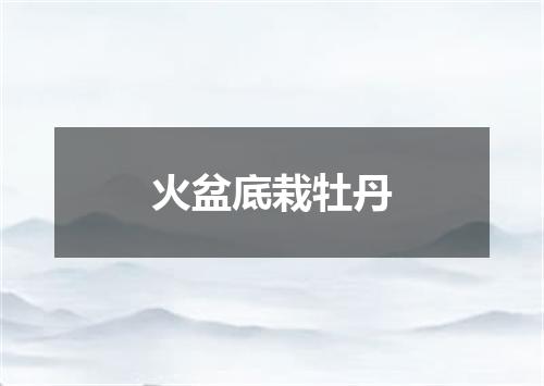 火盆底栽牡丹