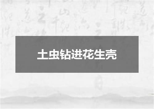 土虫钻进花生壳