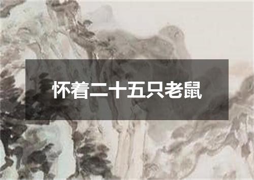 怀着二十五只老鼠